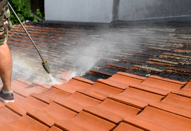 Best Power Washing Near Me  in Atco, NJ